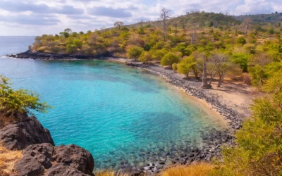Costumes e Tradições de São Tomé e Príncipe: Um Mergulho na Alma das Ilhas Verdes