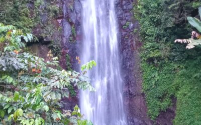Cascata São Nicolau em São Tomé e Príncipe: Guia Completo da Queda d’Água de 20 Metros