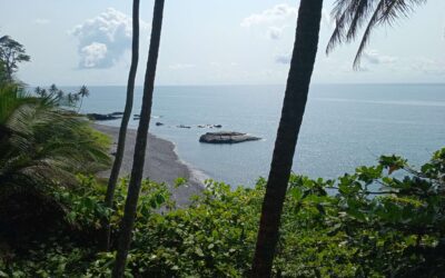 Rota de Cacau Biológico – Zona Norte de São Tomé e Príncipe: Guia Completo de Turismo Sustentável