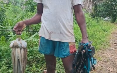 Vida social de São Tomé e Príncipe
